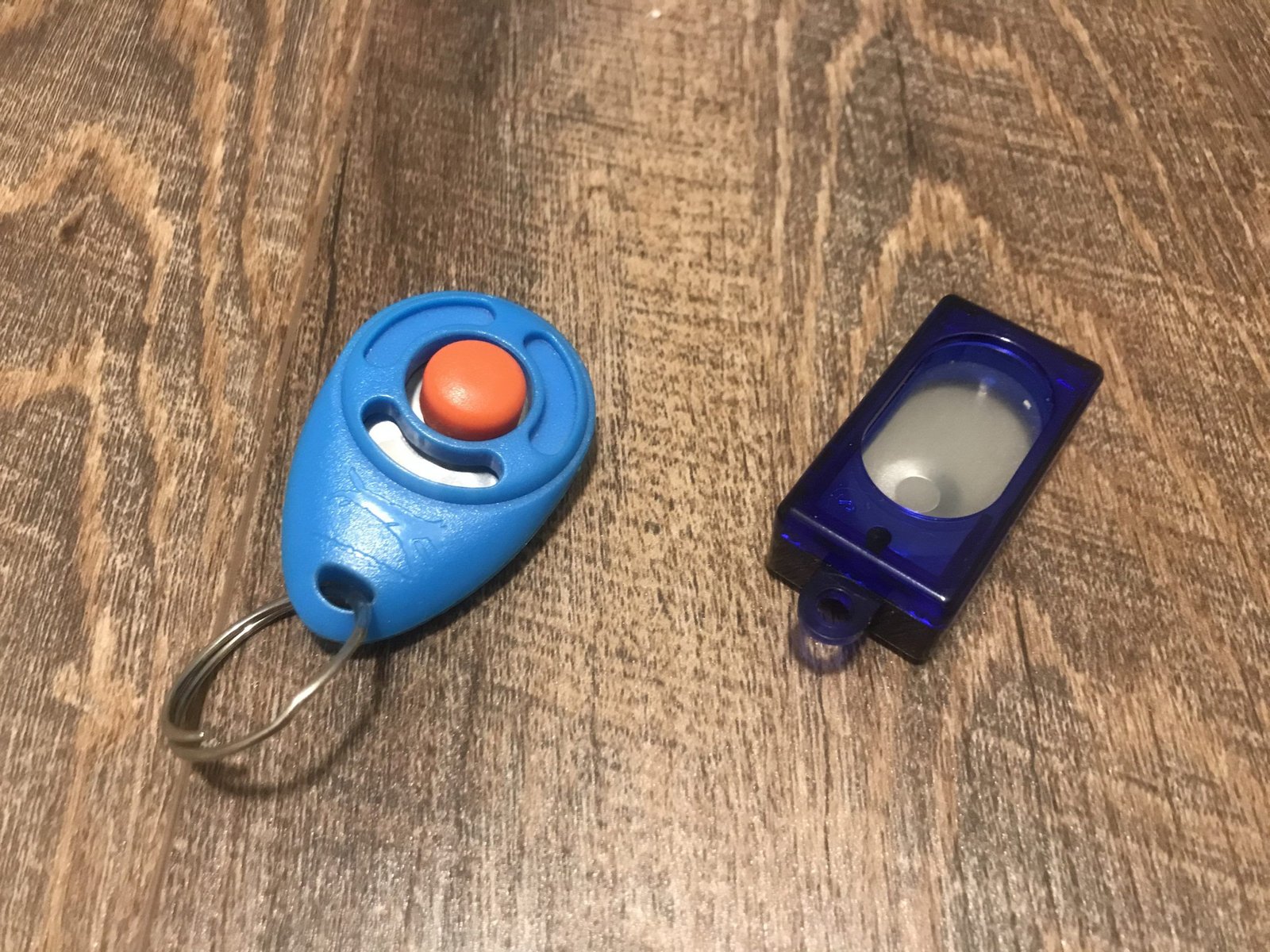 You are currently viewing The Power of Clicker Training