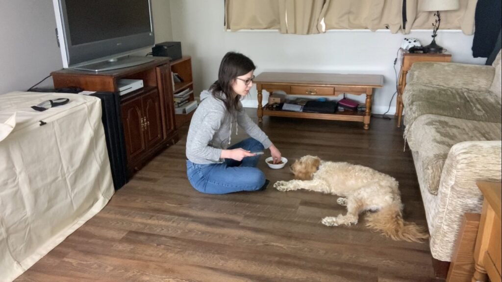 Bella Grooming Training